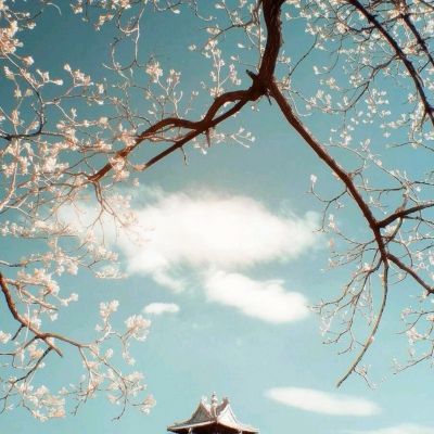 加菲猫奇幻之旅破解版下载