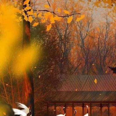 国王之战最新版下载